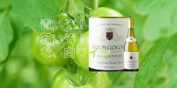 BOURGOGNE_CHARDONNAY_VIGNERONS_DES_TERRES_SECRETES_2016_アイキャッチ