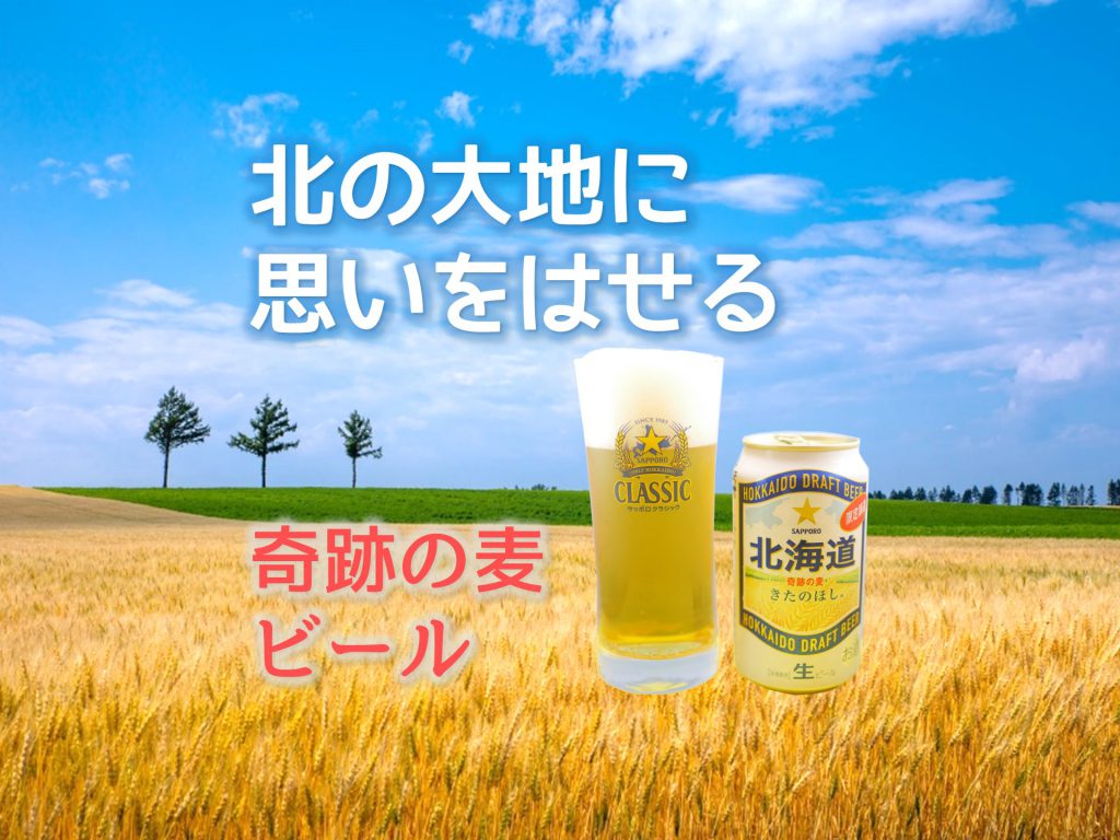 5月発売 数量限定ビール 北海道 奇跡の麦 きたのほし Jiyupress